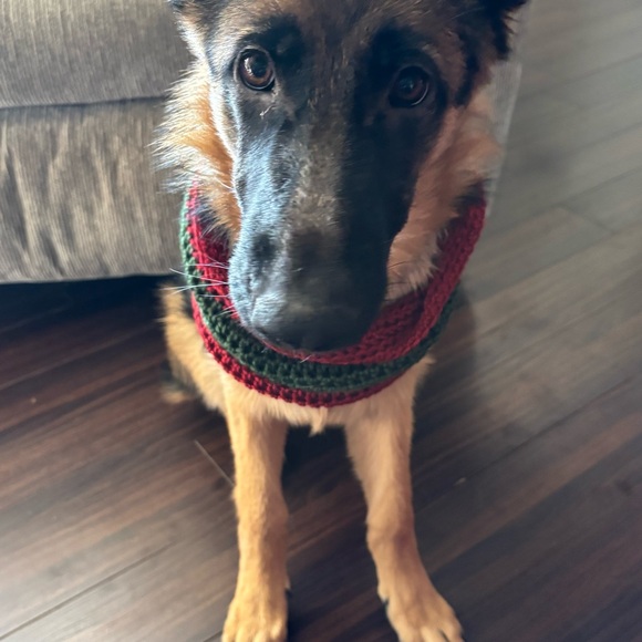 Christmas Dog Cowl Silky Soft Cowl Hand Crochet Size XL 25-26”Cir.x8”long - Picture 3 of 4